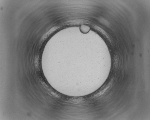 X0000064750778200603131342