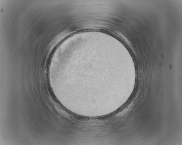 X0000064750779200603131342