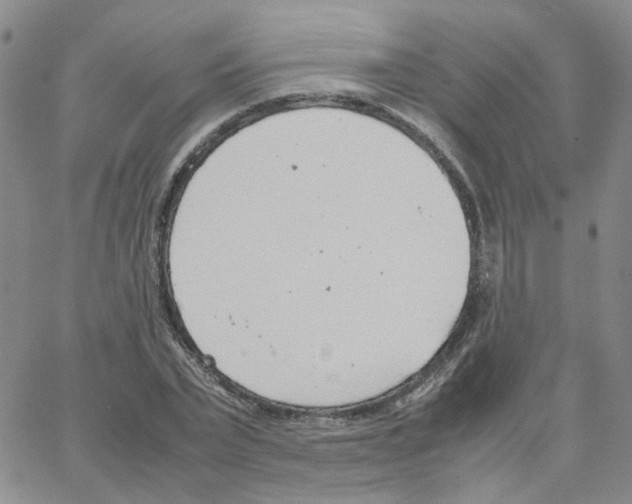 X0000064750783200603131342