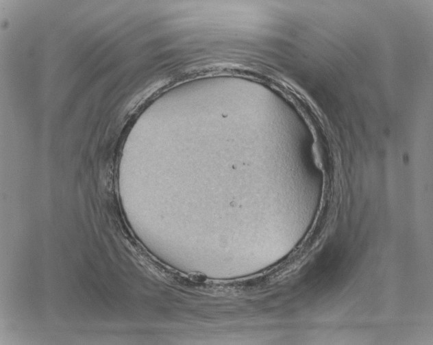 X0000064750785200603131342