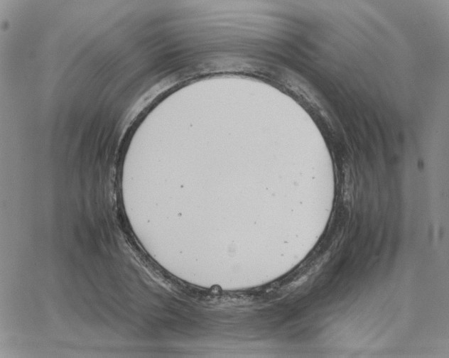 X0000064750786200603131342