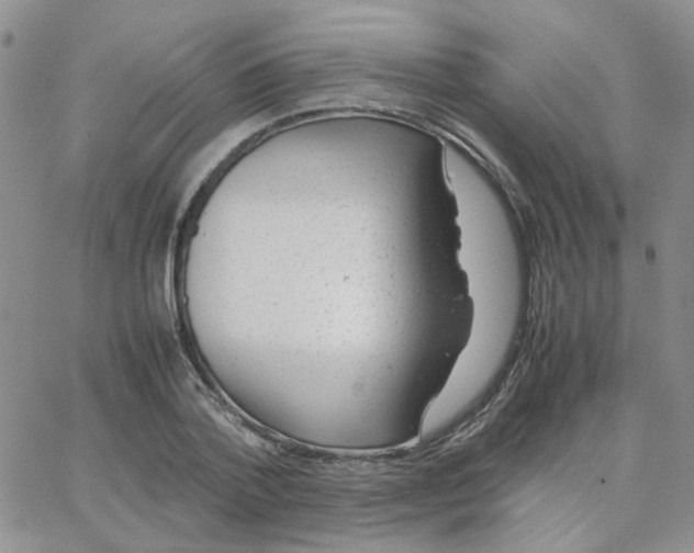 X0000064750788200603131342