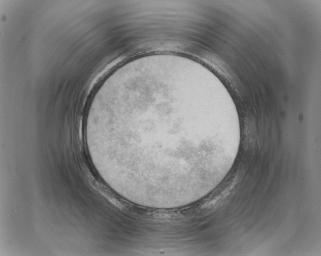 X0000064750790200603131342