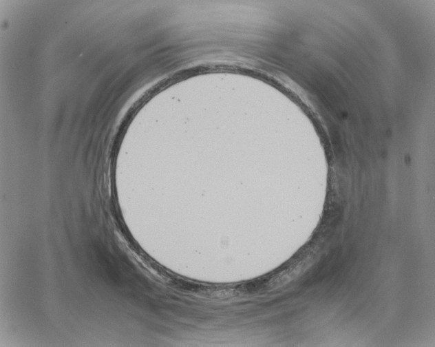 X0000064750791200603131342