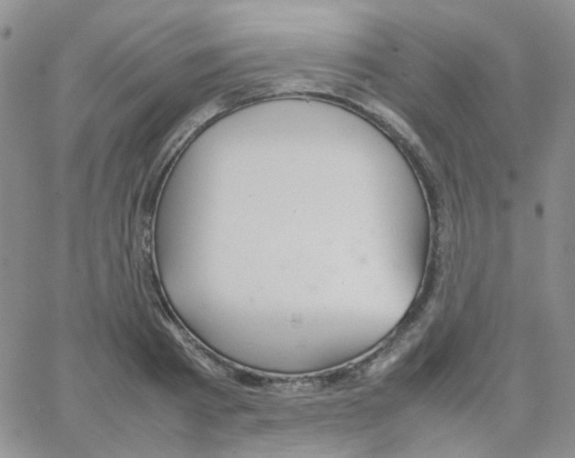 X0000064750793200603131342