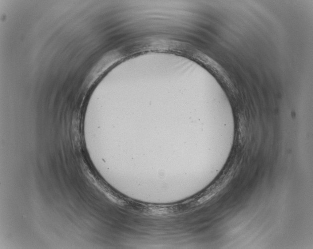 X0000064750794200603131342