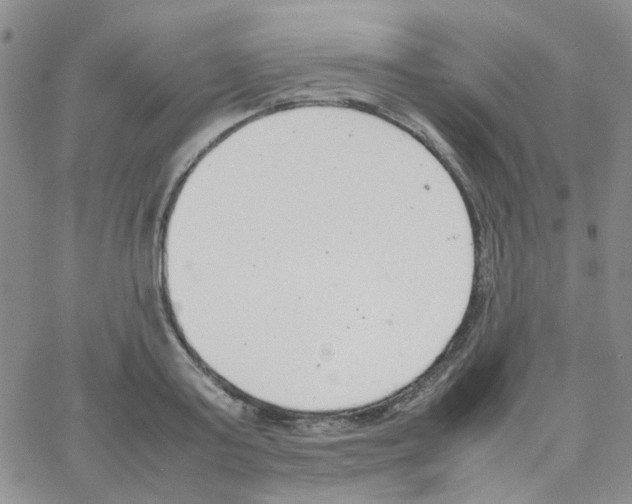 X0000064750795200603131342