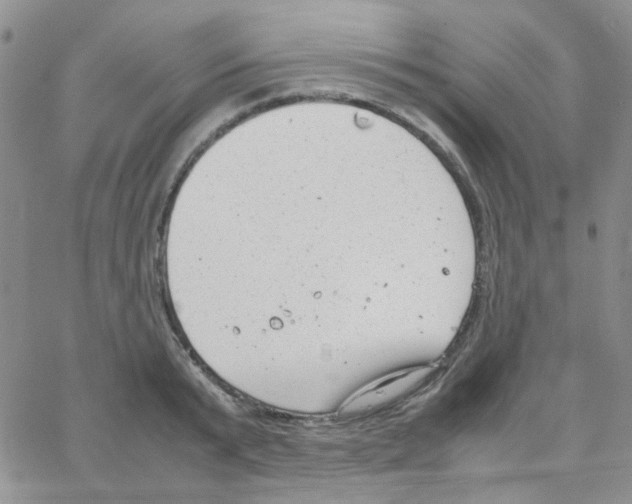 X0000064750799200603131342