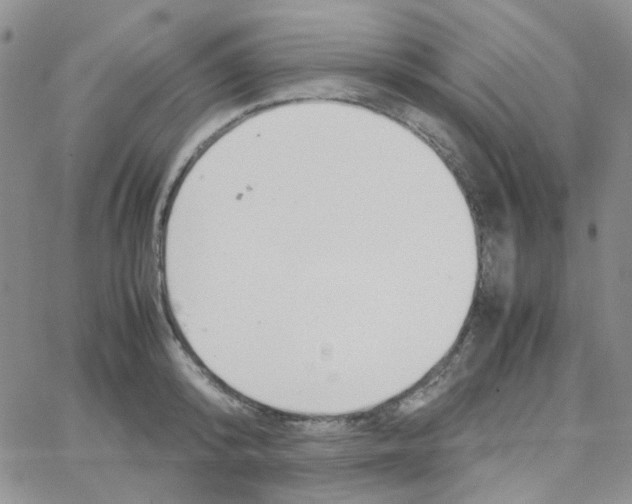 X0000064750800200603131342