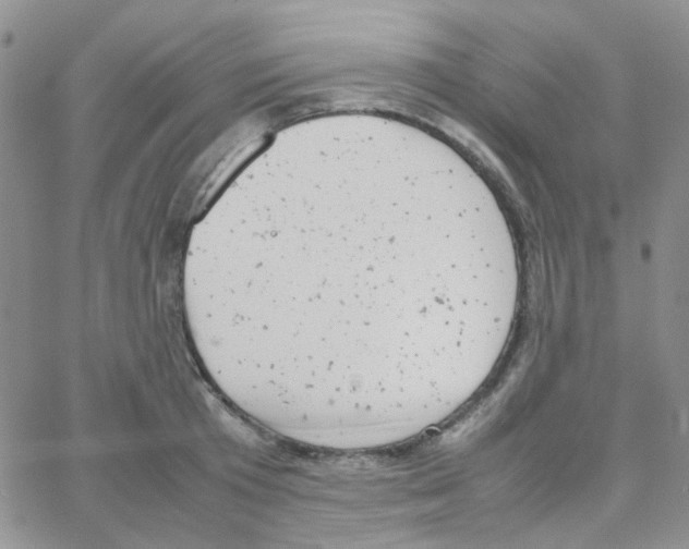 X0000064750801200603131342