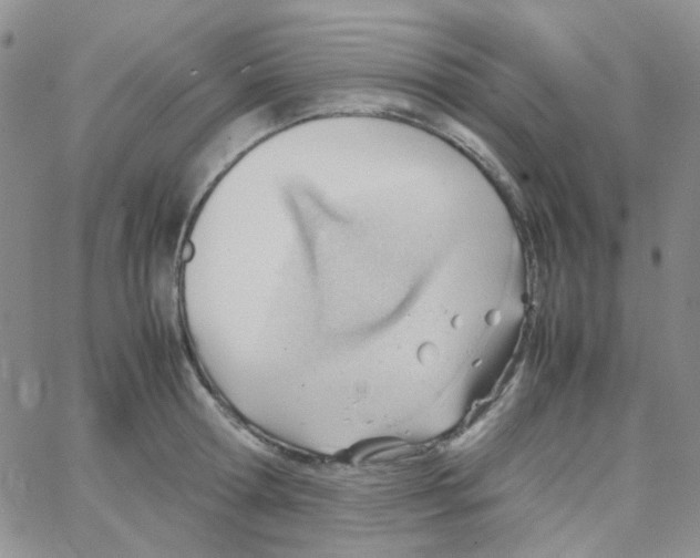 X0000064750802200603131342