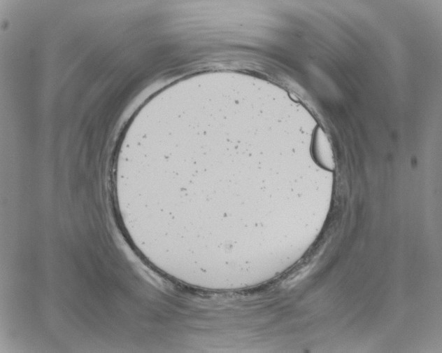 X0000064750803200603131342