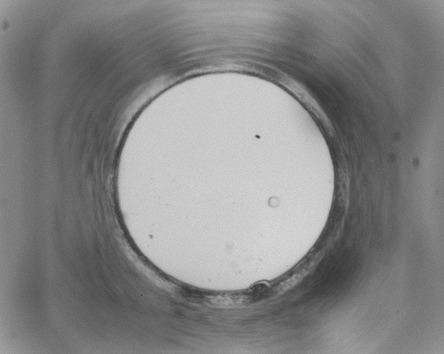 X0000064750805200603131342