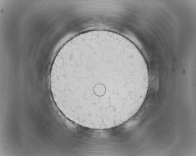 X0000064750807200603131342