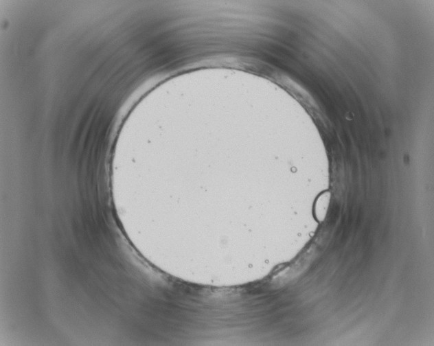 X0000064750808200603131342