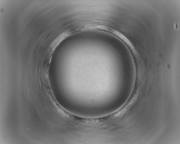 X0000064750809200603131342