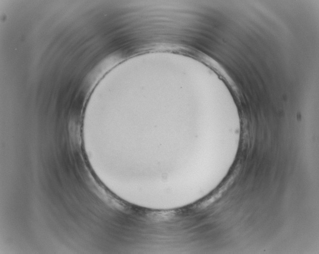 X0000064750810200603131342