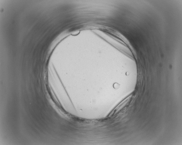 X0000064750811200603131342