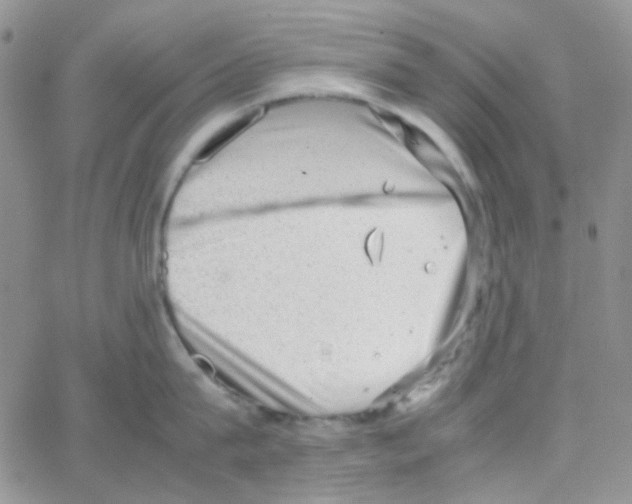 X0000064750815200603131342