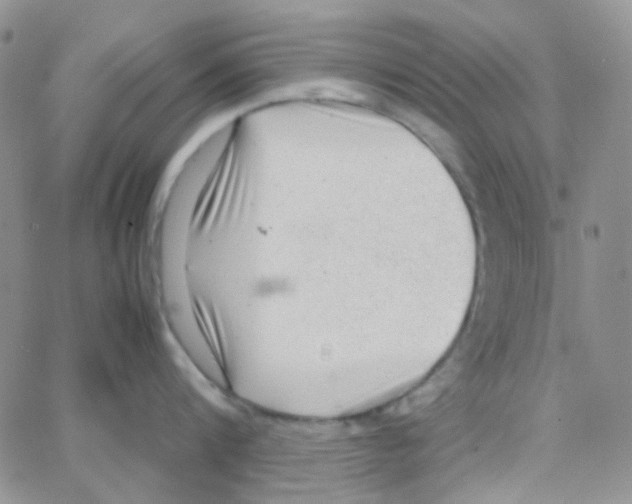 X0000064750816200603131342