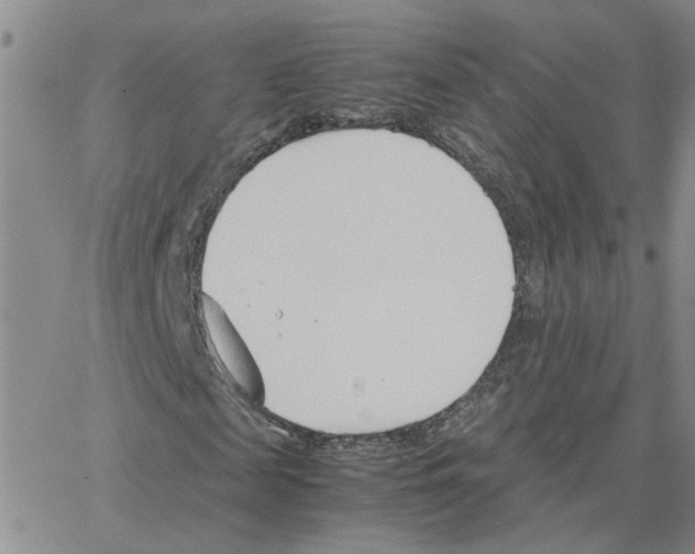 X0000064750817200603131341