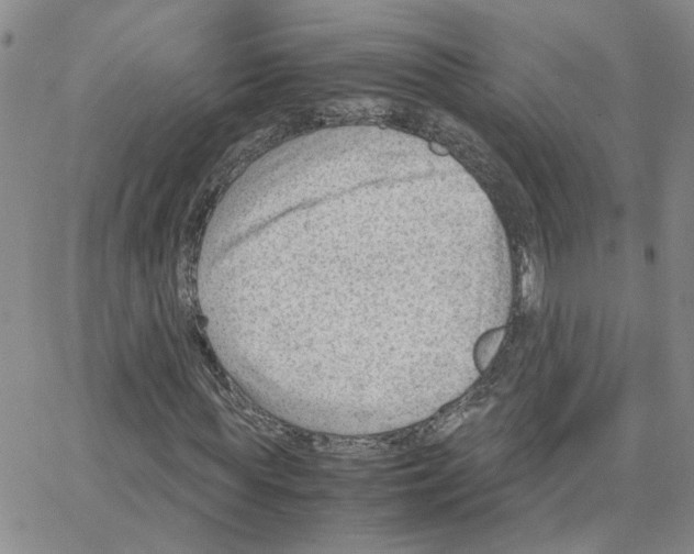 X0000064750819200603131341