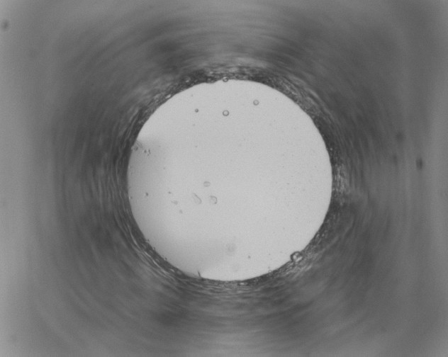 X0000064750820200603131341