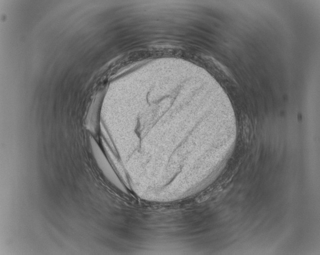 X0000064750821200603131341