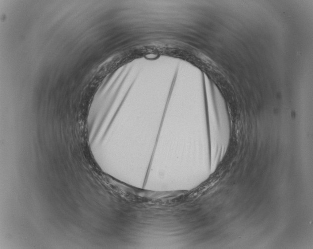 X0000064750822200603131341