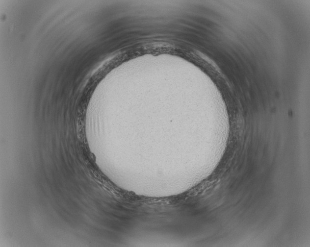 X0000064750823200603131341