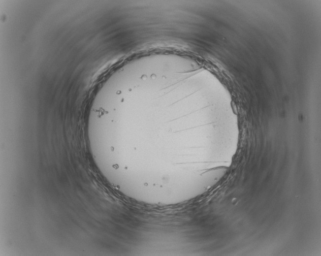 X0000064750824200603131341