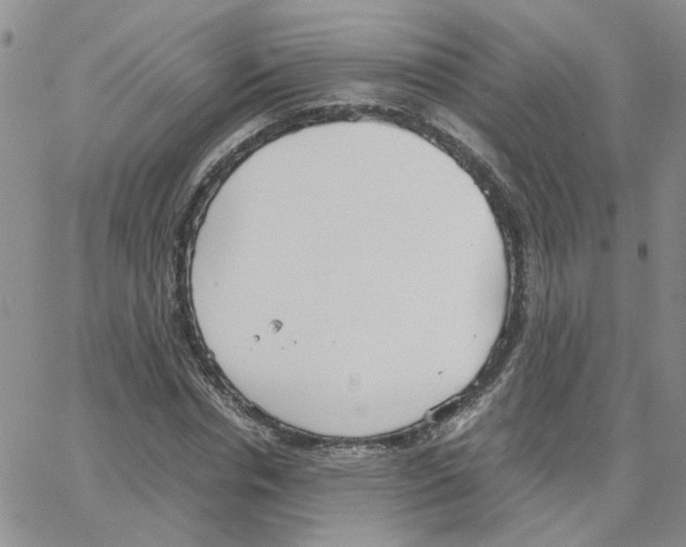 X0000064750826200603131341