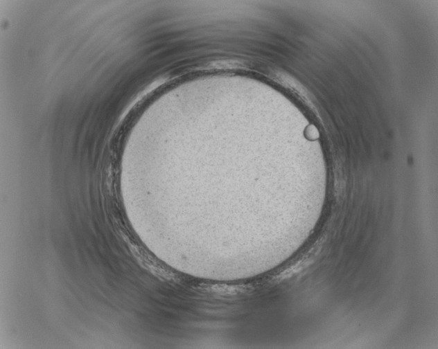 X0000064750827200603131341