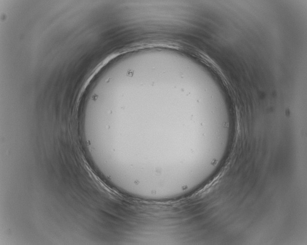 X0000064750828200603131341