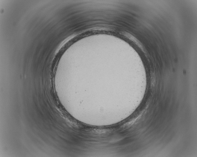 X0000064750829200603131341