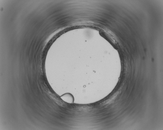 X0000064750830200603131341