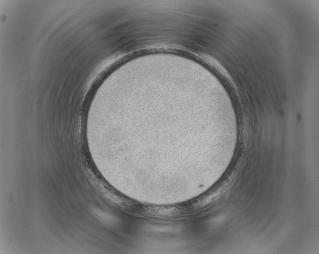 X0000064750831200603131341