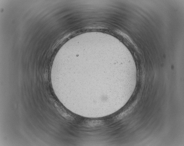 X0000064750833200603131341