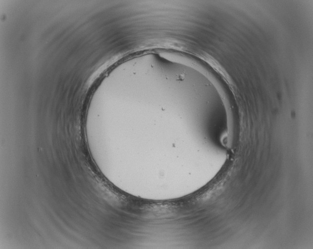 X0000064750834200603131341