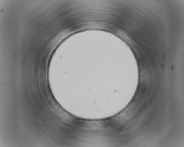 X0000064750836200603131341