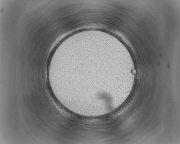 X0000064750837200603131341