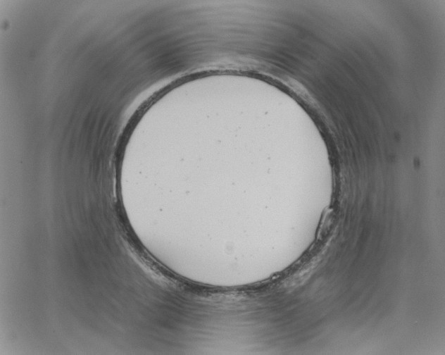 X0000064750838200603131341