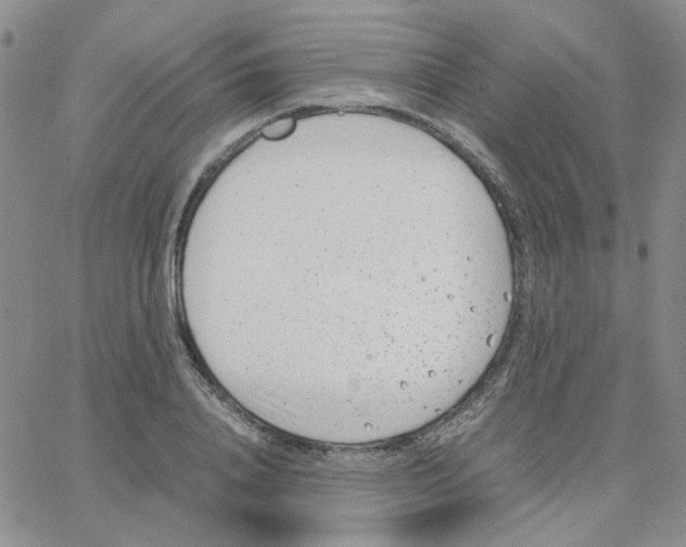 X0000064750840200603131341