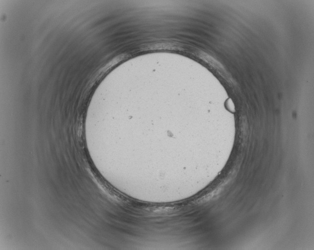 X0000064750841200603131341