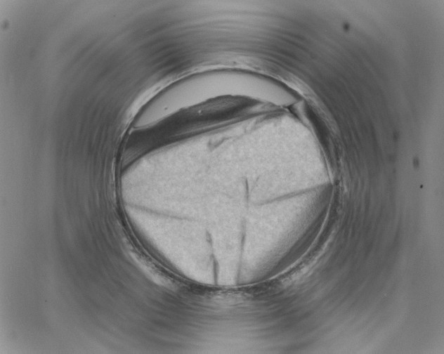 X0000064750842200603131341