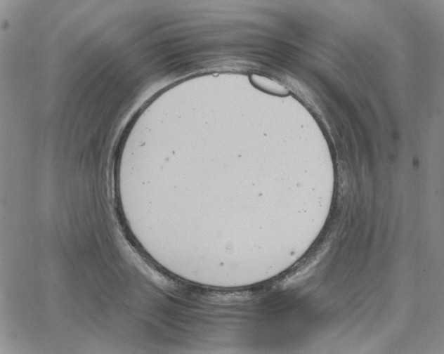 X0000064750843200603131341