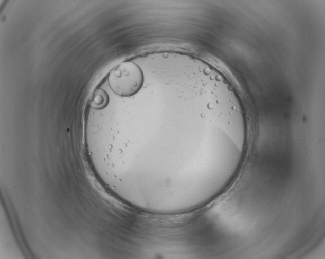 X0000064750844200603131341