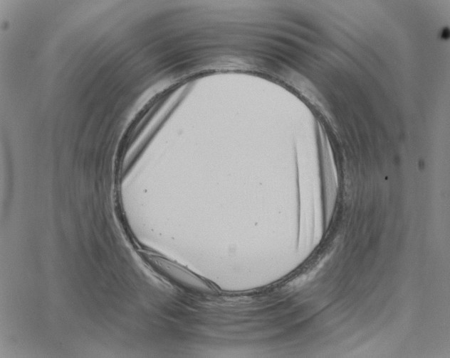 X0000064750845200603131341