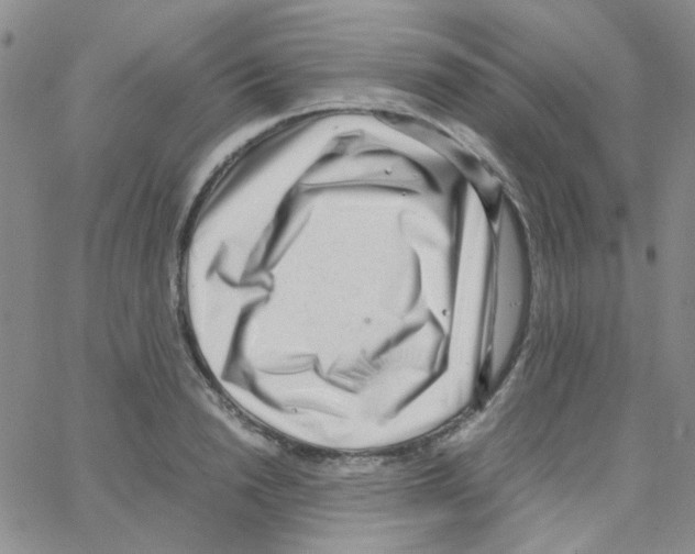 X0000064750846200603131341