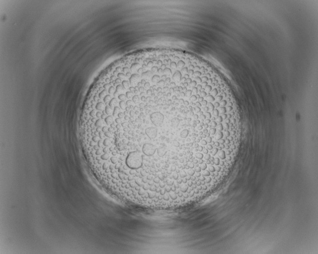 X0000064750848200603131341